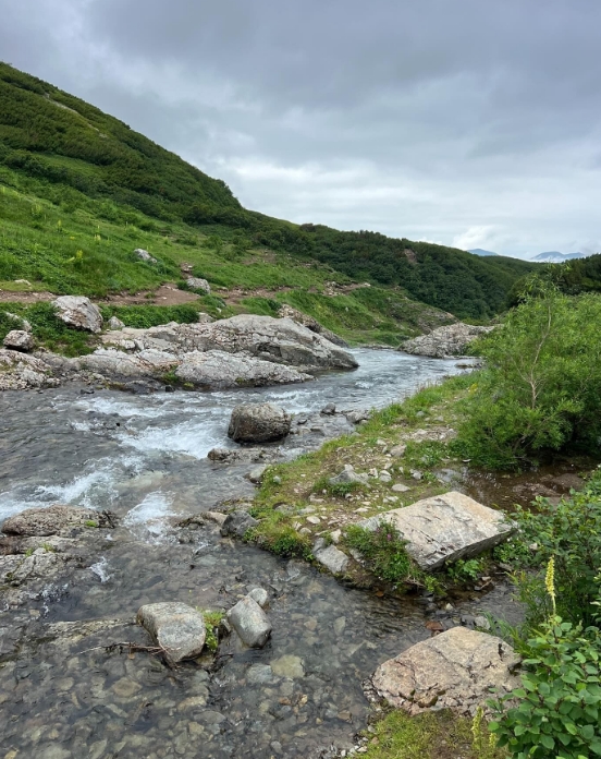 Фото организации