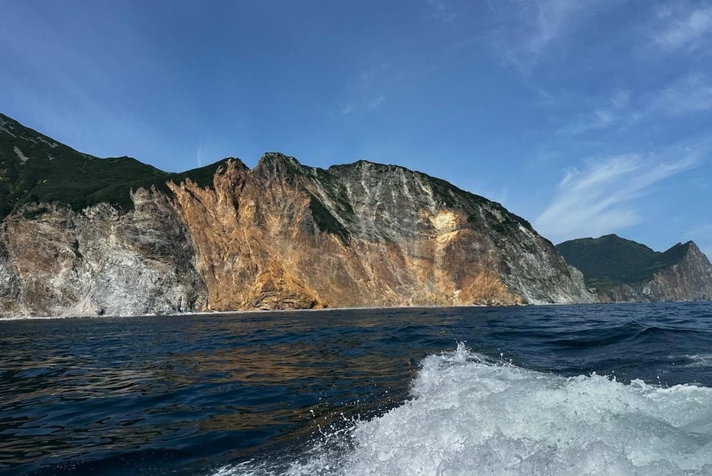 Фото организации