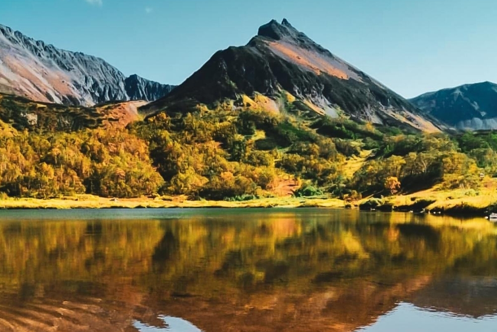 Фото организации