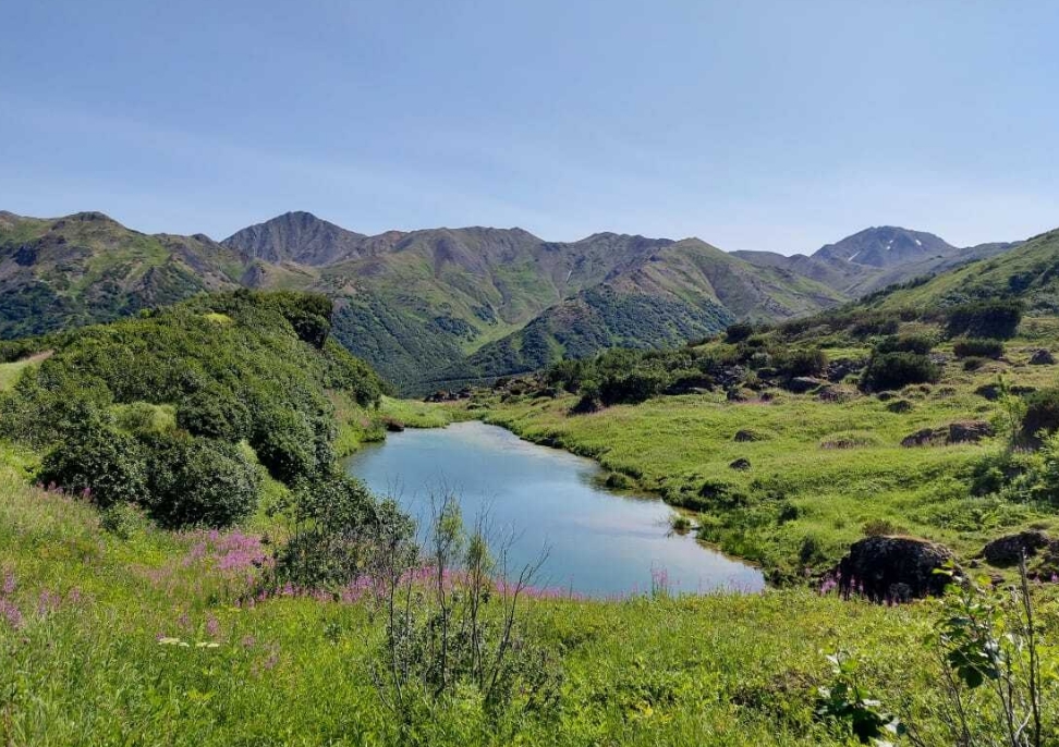 Фото организации