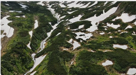 Фото организации