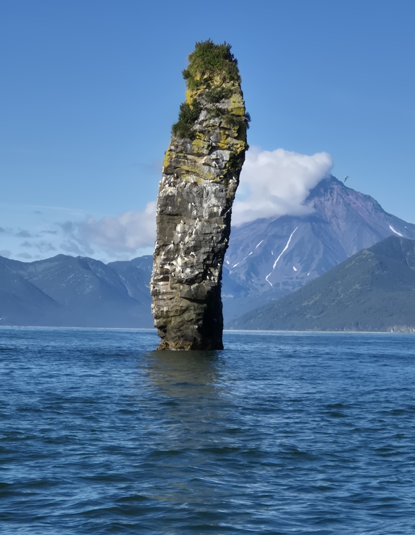 Фото организации