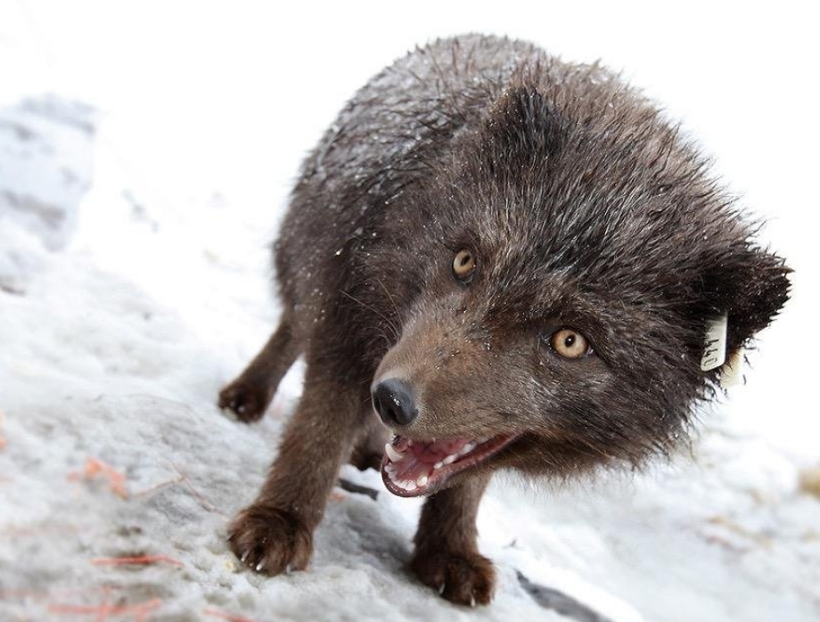 Фото организации