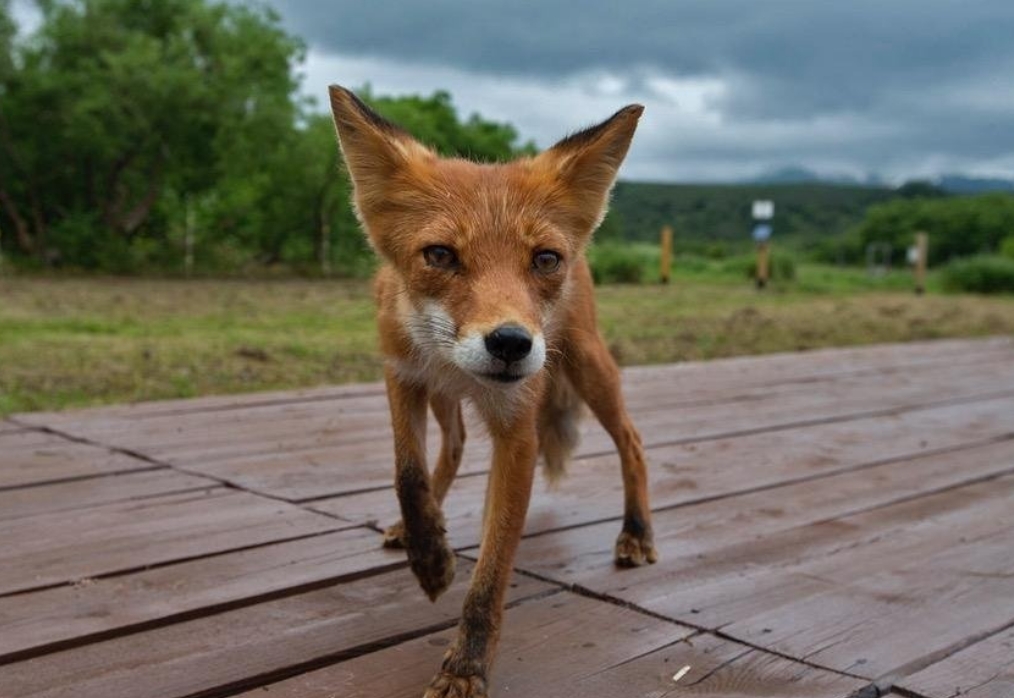 Фото организации