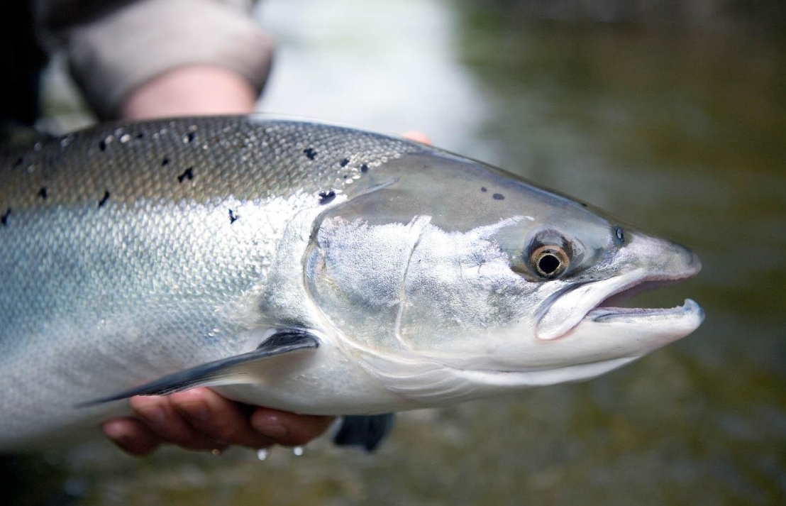 Фото организации
