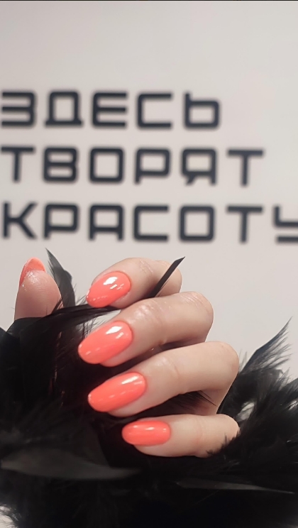 Фото организации