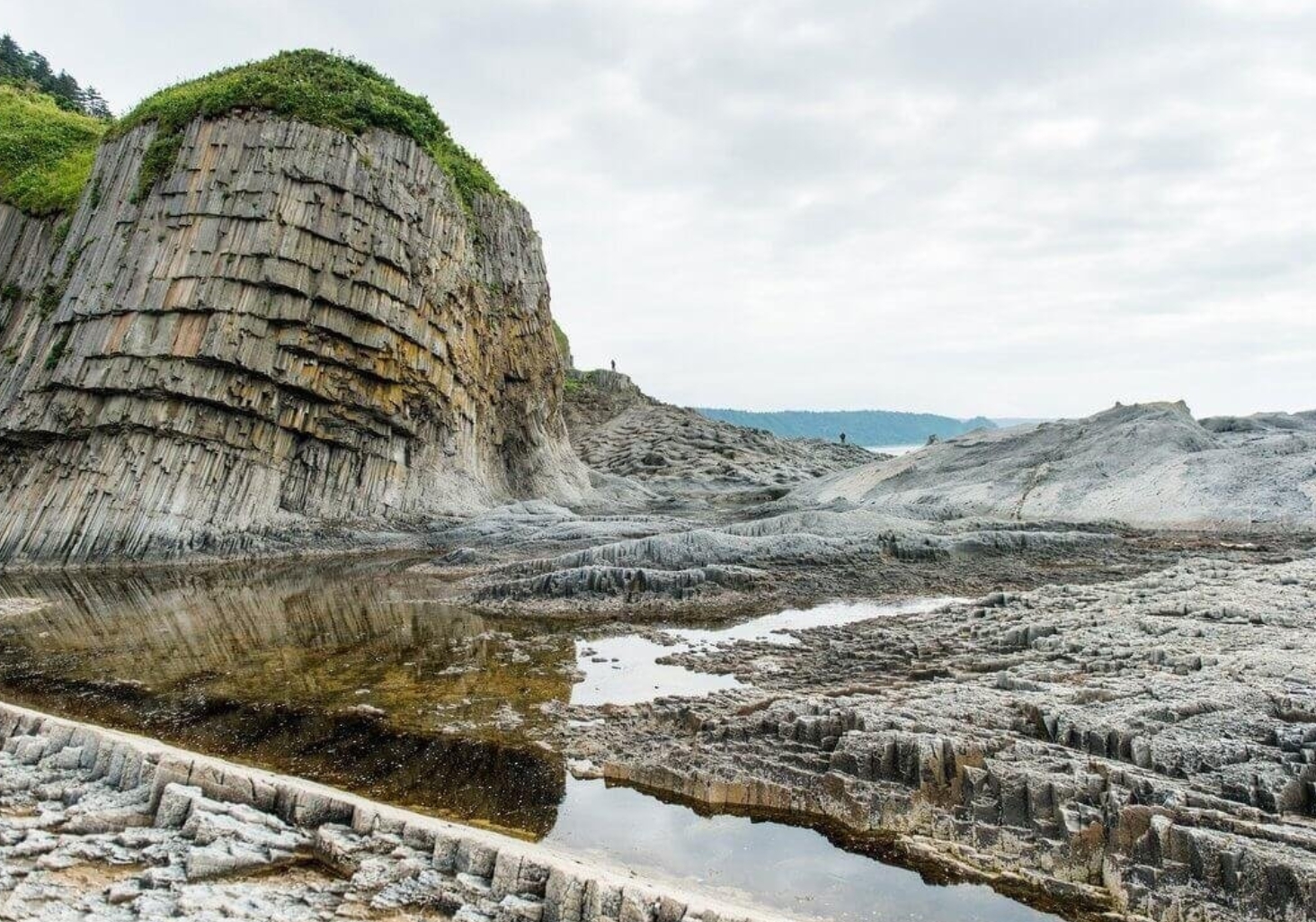Фото организации