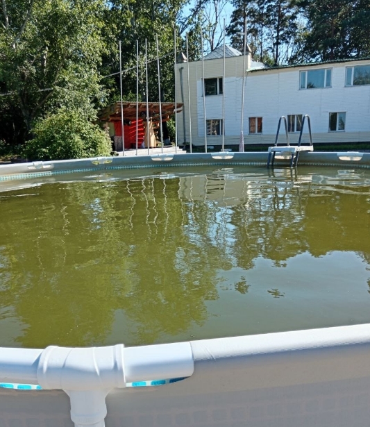 Фото организации