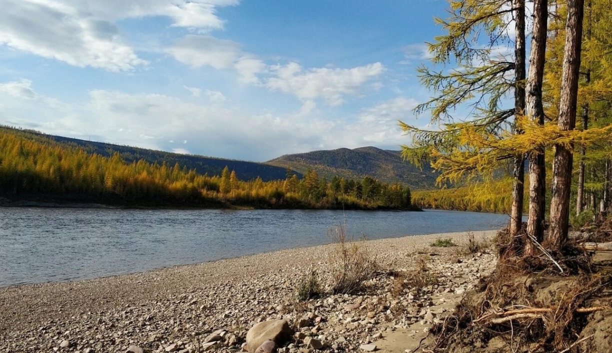 Фото организации