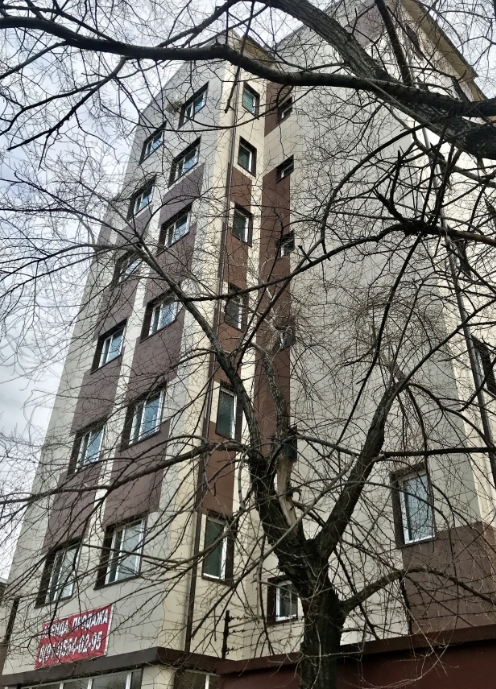 Фото организации