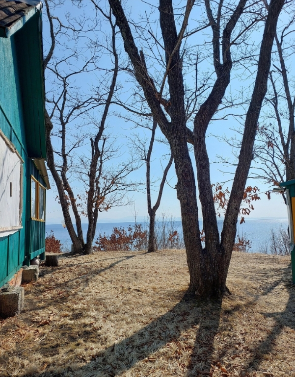 Фото организации