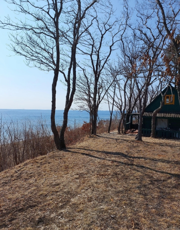 Фото организации